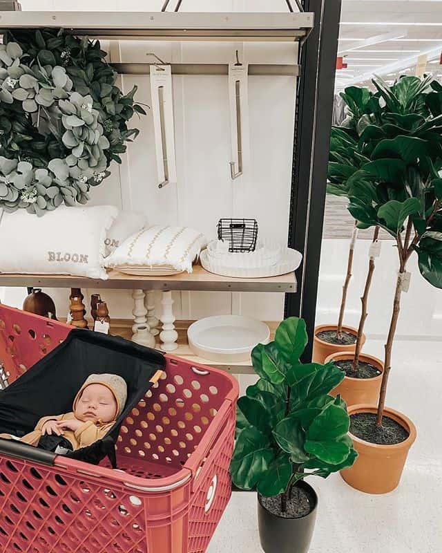Grocery Shopping With A Newborn