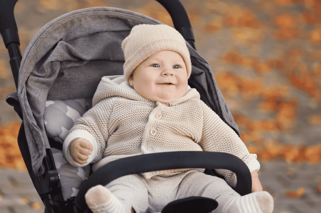 Difference Between Pushchair And Stroller