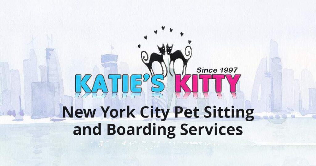 أفضل 5 اختيارات موثوقة لجلوس القطط في مدينة نيويورك